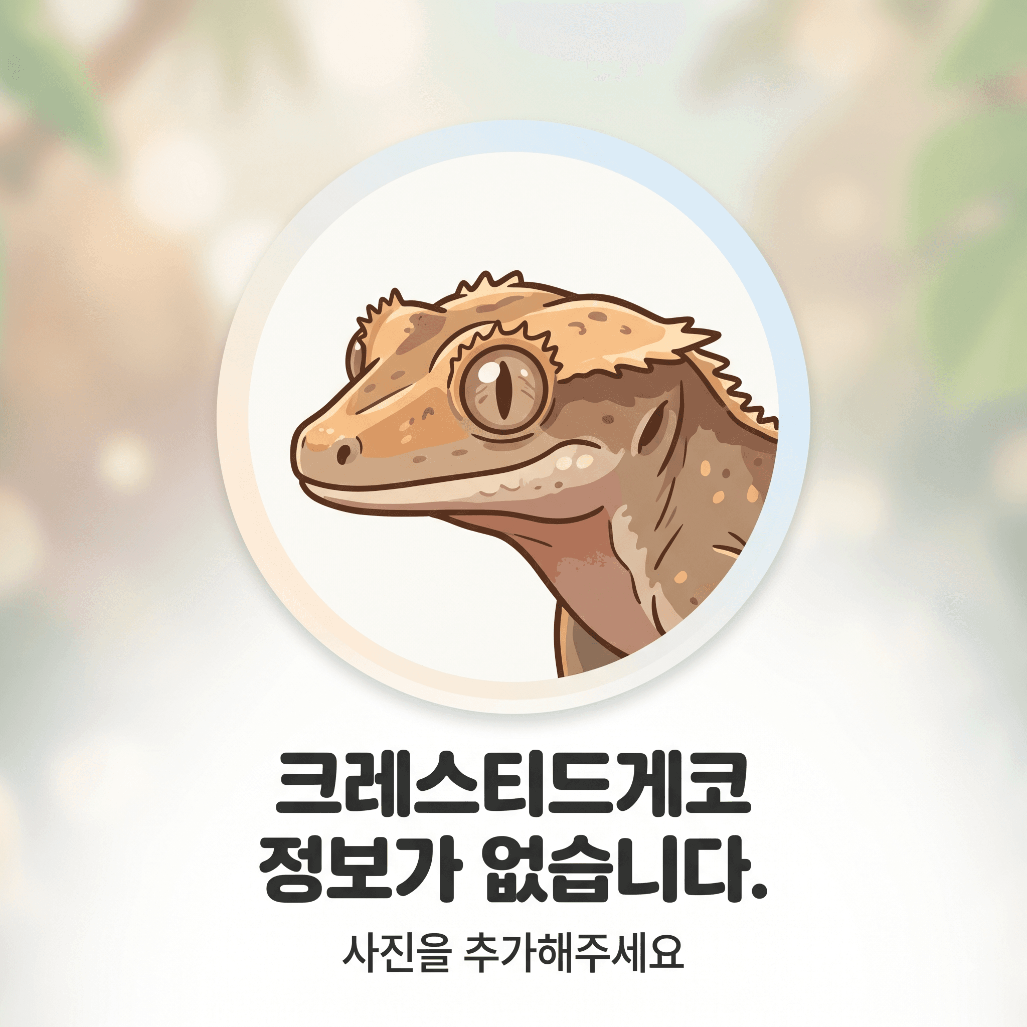 망고